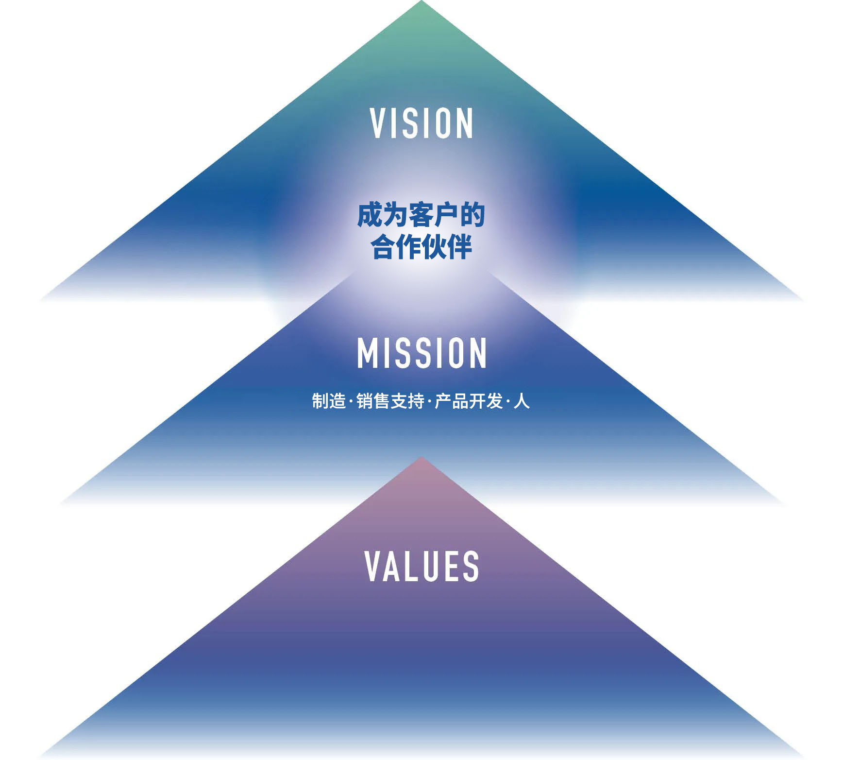 MISSION VISION VALUES